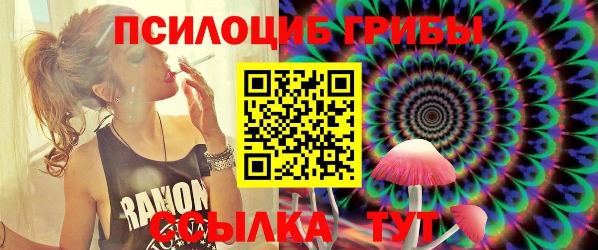 Псилоцибиновые грибы Psilocybe Ялуторовск